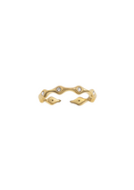 Set ajustable con cristal